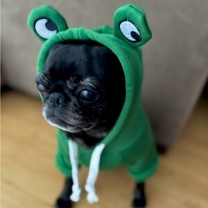 Froggy Doggy Hoodie af